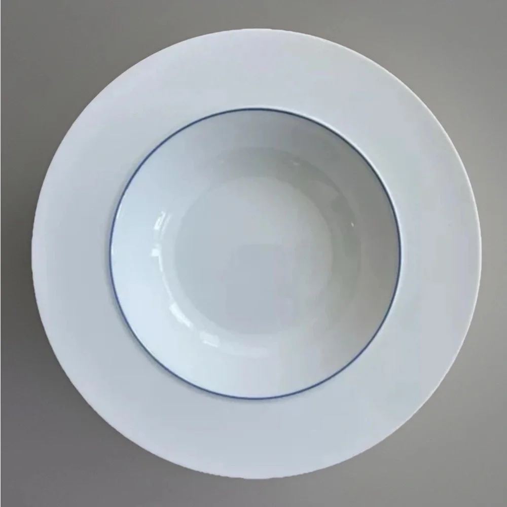 Crate & Barrel Epoch Blue Line 9.25